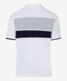 White,Herren,Shirts | Polos,Style PLATO,Freisteller Hinten