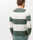 Agave,Men,Knitwear | Sweatshirts,Style ROB,Rear view