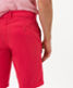 Watermelon,Men,Pants,REGULAR,Style BARI,Detail 1