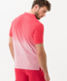 Watermelon,Men,T-shirts | Polos,Style PAULO D,Rear view