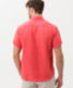 Watermelon,Men,Shirts,Style DAN U,Rear view