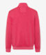 Indian red,Men,Knitwear | Sweatshirts,Style SION,Stand-alone rear view