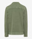 Green tea,Men,Knitwear | Sweatshirts,Style SANTIAGO,Stand-alone rear view