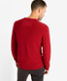 Fire,Men,Knitwear | Sweatshirts,Style ROY,Rear view