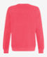 Indian red,Men,Knitwear | Sweatshirts,Style SAWYER,Stand-alone rear view
