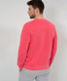 Indian red,Men,Knitwear | Sweatshirts,Style SAWYER,Rear view