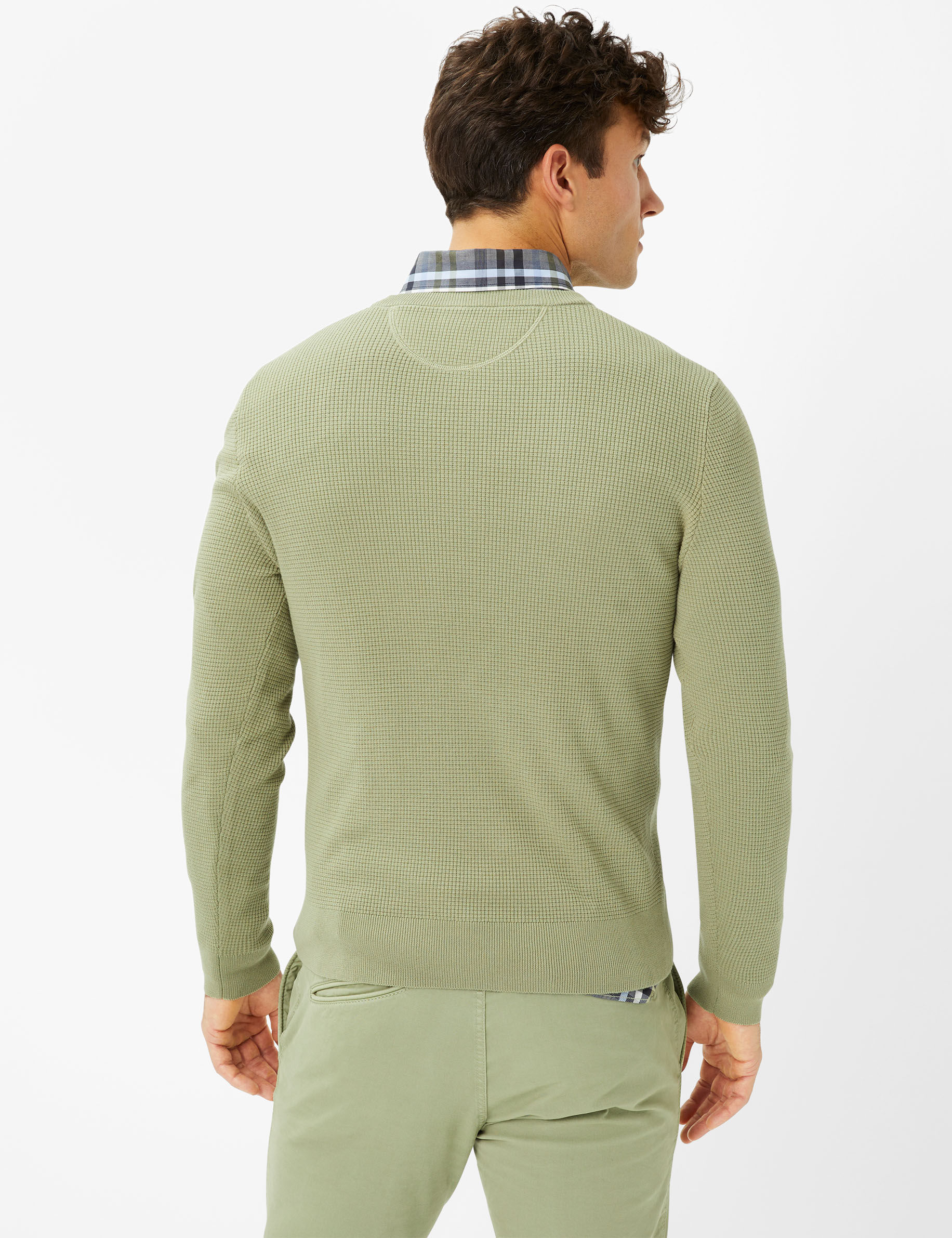 Men Style RICK salvia  Model back